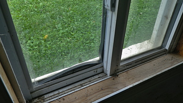 damaged window seals